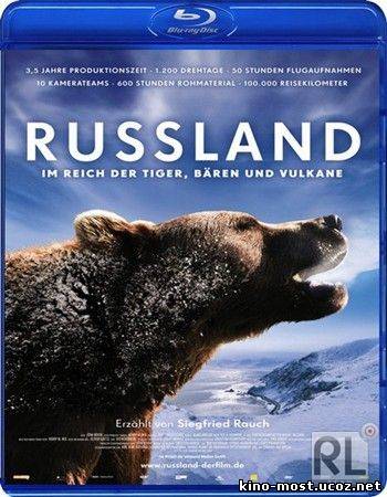 Смотреть онлайн Россия — царство тигров, медведей и вулканов